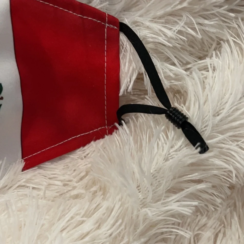 New Mexico flag face mask